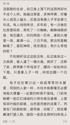 爱游戏app赞助罗马